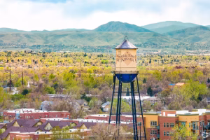 arvada 3
